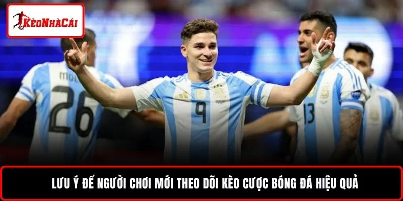 Lưu ý để người chơi mới theo dõi kèo cược bóng đá hiệu quả